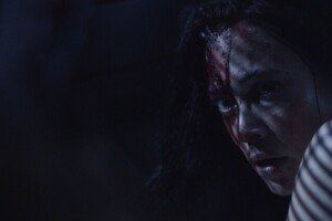 wp-17720556746261568187757722656946