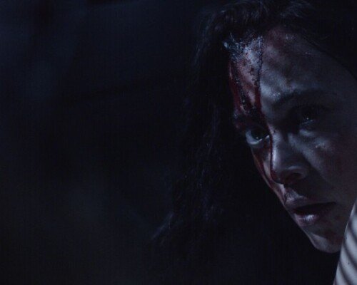 wp-17720556746261568187757722656946