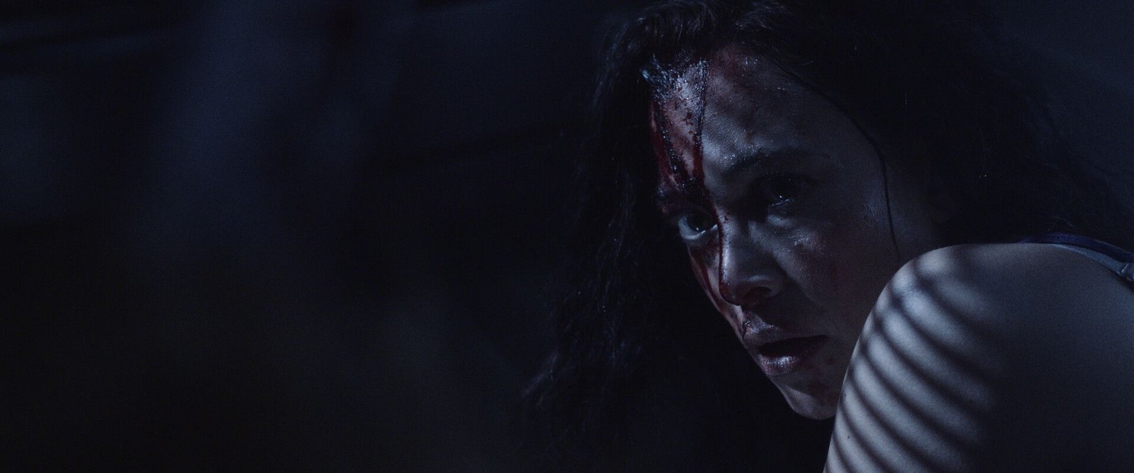 wp-17720556746261568187757722656946