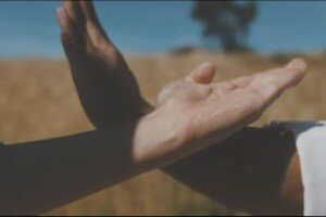 Screenshot_20260323-185233_Instagram