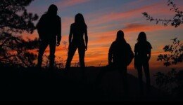 c465fb3eae63df7e6c1401ac58c4381f6aa8fb6daaf43b6bf6dda315b06c6a20._SX1080_FMjpg_