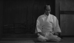 wp-17748845288437939561464895233573