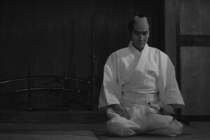 wp-17748845288437939561464895233573