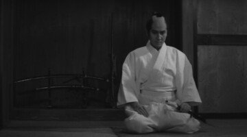 wp-17748845288437939561464895233573