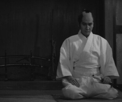 wp-17748845288437939561464895233573