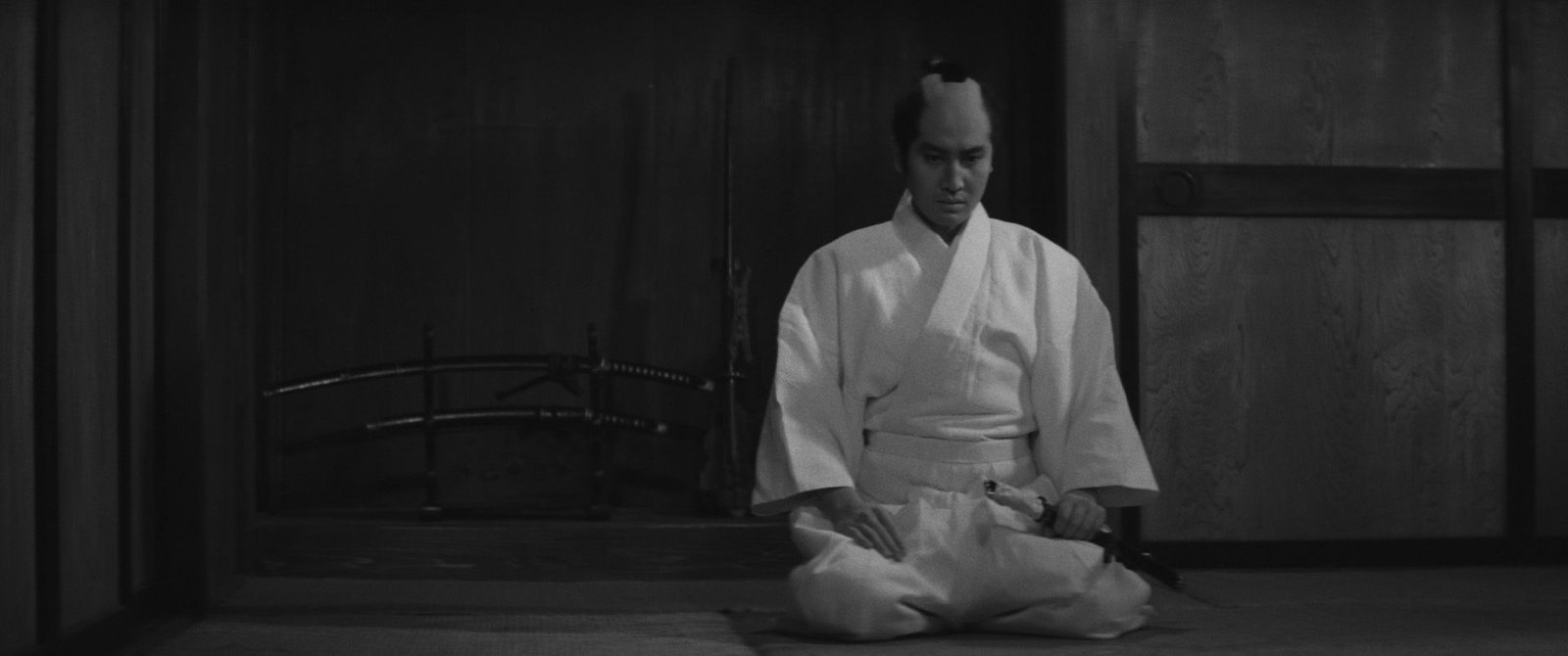 wp-17748845288437939561464895233573