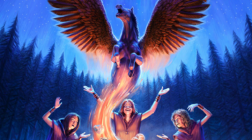 a32634f1-1204-dcec-919e-92417b9b7b3a5916060932317963116