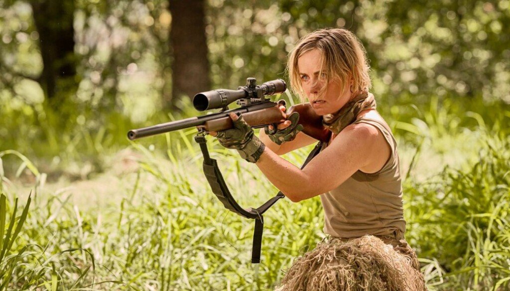 wp-17774039569407872769554552963526