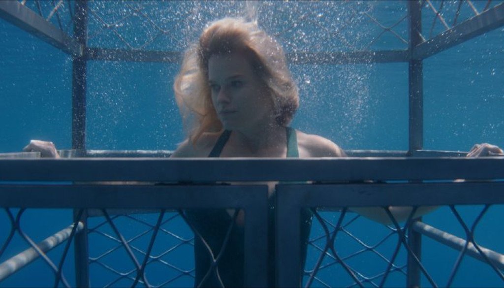 chum-still-5