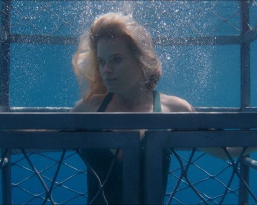chum-still-5