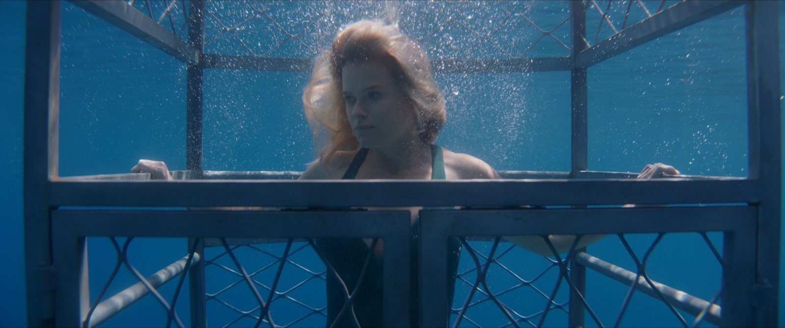 chum-still-5